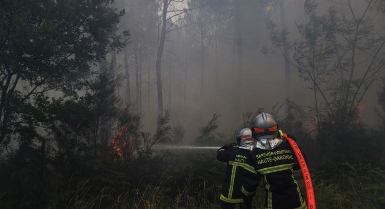 Só na França, fogo atingiu 13 mil hectares de reservas florestais devido ao tempo seco
