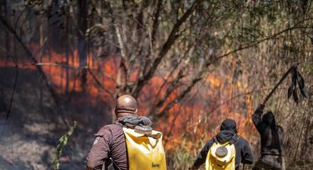 Incêndio atingiu o Parque do Juquery, em Franco da Rocha