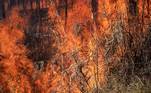 Incêndio atinge o Parque do Juquery, em Franco da Rocha, na Grande São Paulo
