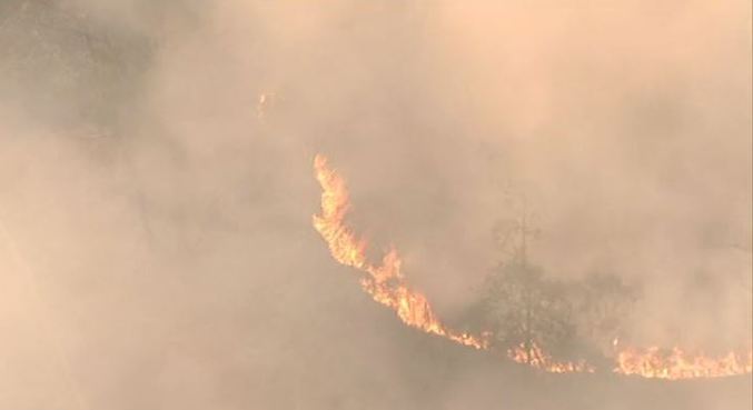 Segundo Corpo de Bombeiros, fogo consumiu 40% do Parque do Juquery (SP)