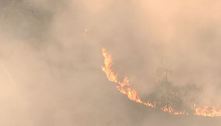 Bombeiros controlam incêndio no Parque Estadual do Juquery (SP)