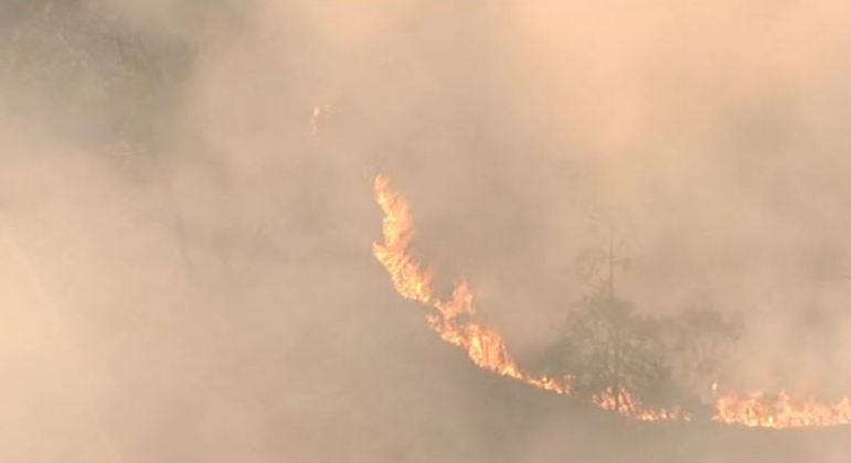Incêndio no Parque do Juquery