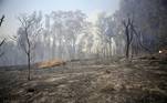 Incêndio atinge o Parque do Juquery, em Franco da Rocha, na Grande São Paulo