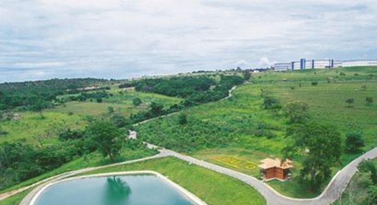 Folha Vitória