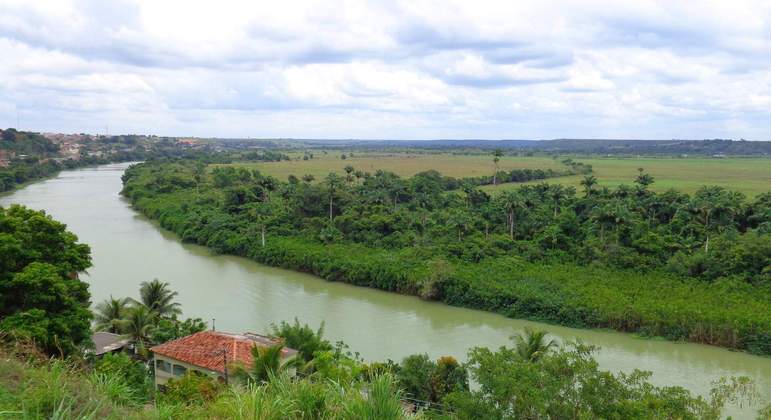 Folha Vitória