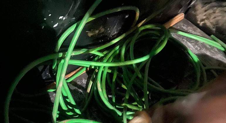 Homem é detido em flagrante furtando fio de empresa em Vila Velha