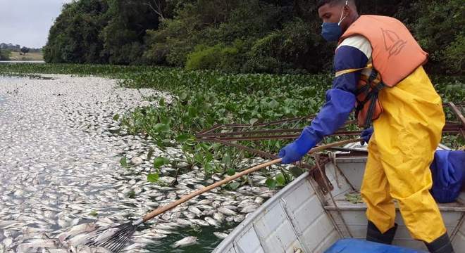 Lagoa amanhece tomada por peixes mortos em Linhares. É a Semana da Água