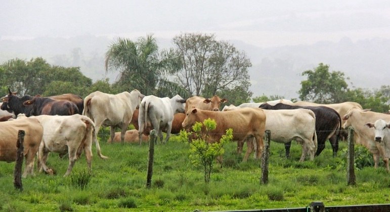 Plano ABC+ pretende reduzir em 1,1 bi de tonelada a emissão de gases na agropecuária