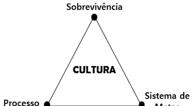 Fonte: Triângulo de Sobrevivência de Massari – Hiflex Consultoria – 2019 – Todos os direitos reservados