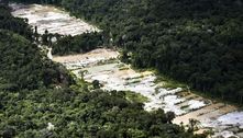 Narcotráfico na Amazônia traz destruição ambiental e violação de direitos, diz relatório sobre drogas 