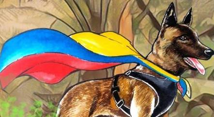 Forças Militares da Colômbia seguem em busca de Wilson