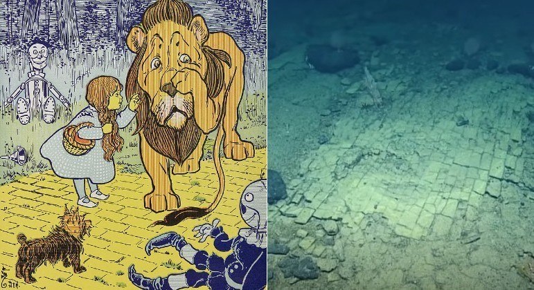 Formação rochosa marítima foi comparada à estrada dos tijolos amarelos de 'O Mágico de Oz'