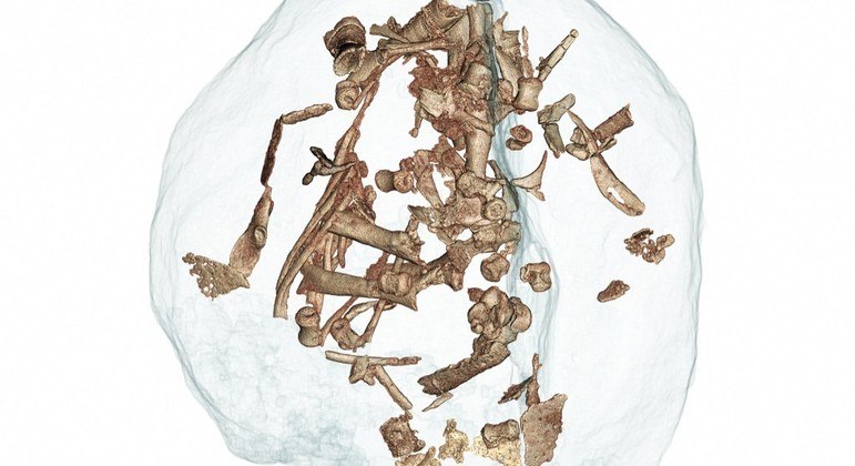 Ovos de dinossauro fossilizados foram levados a laboratório na França para passar por raio-x