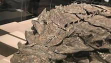 Cientistas descobrem uma estranha espécie de dinossauro que soava como pássaro