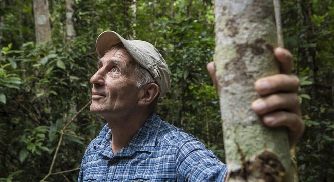 "A busca pela perfeição pode atrapalhar a realização. Há um monte de problemas (na implementação do programa). Mas qual é a alternativa?", afirma cientista Foster Brown, defendendo o crédito de carbono