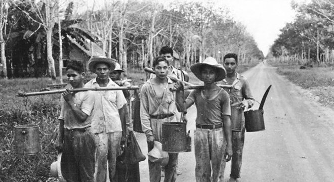  Seringueiros voltam do trabalho em Belterra, no Pará, em 1953 Bush e Thatcher