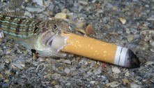 Fotógrafo de peixe com cigarro revela: 'Me senti obrigado a intervir'