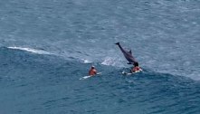 Foi por muito pouco: surfista quase é derrubado de prancha por golfinho atrevido