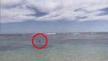 Foto mostra homem mergulhando pouco antes de ataque de tubarão
