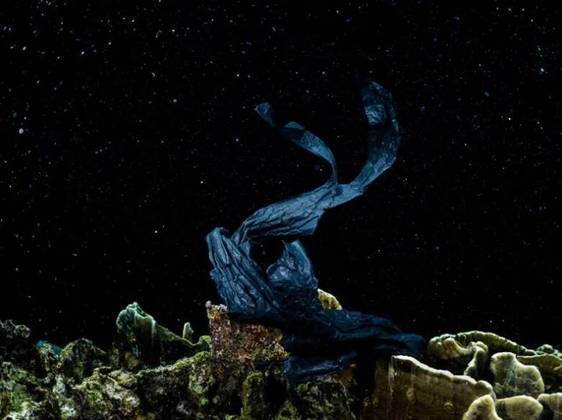 Na categoria Planeta Verde, Planeta Azul, Alexej Sachov levou a melhor com as fotos subaquáticas que mostram o mundo do oceano afetado pelas atividades humanas. 