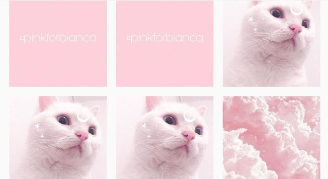 A hashtag #PinkForBianca foi criada para combater a propagação das fotos de Devins