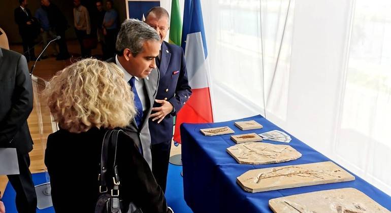 La France restitue 998 fossiles du Crétacé au Brésil – Actualités