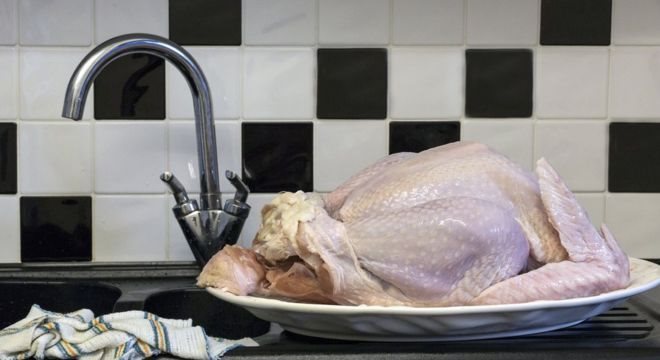 O frango que comemos é de uma linhagem diferente da dos pintinhos que são mortos ao nascer 