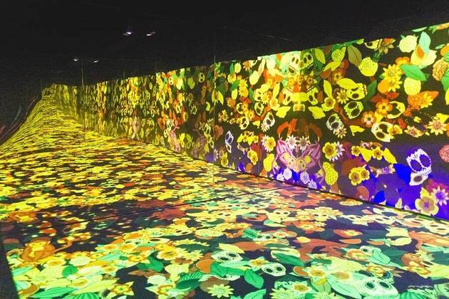 Um dos destaques da exposição é o salão principal, uma viagem sensorial em 1.000 metros quadrados de telas projetáveis pelo 'Universo de Frida', no qual o visitante se mistura às obras