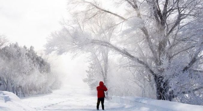 Paisagem fica coberta de neve em Montreal em meio ao frio extremo na cidade canadense