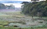 A cidade de Passo Fundo registrou mínima média de 7°C durante esta madrugada, mas a temperatura deve se elevar aos poucos no decorrer do dia e atingir os 19°C, de acordo com o Clima Tempo