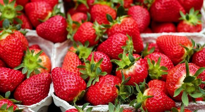 Frutas cítricas - principais benefícios e variações mais populares