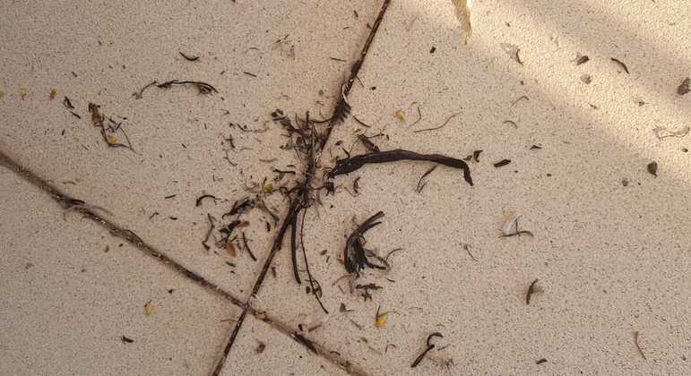 Fuligem em prédio na Vila Guilherme