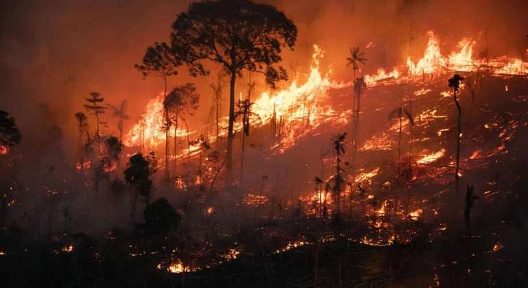 Fumaça das chamas da Amazônia chegam a São Paulo 