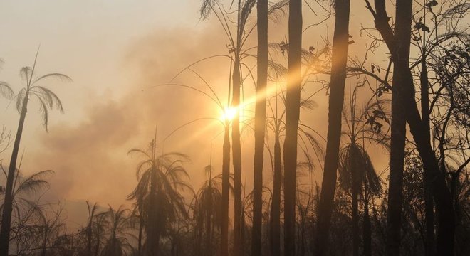  Importante área de preservação da biodiversidade no Pantanal, Serra do Amolar sofre com queimadas