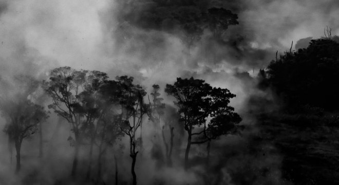 Fumaça intensa no Pantanal