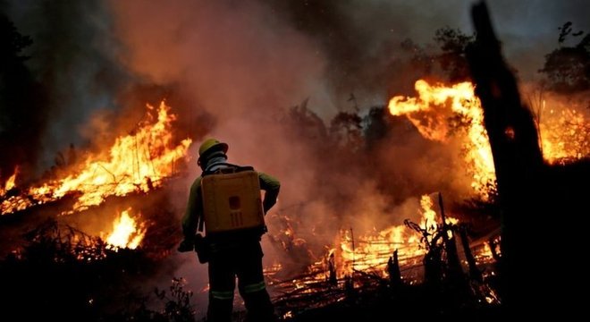 Brasil é soberano na Amazônia, mas deveria gerir a floresta para benefício de todos, diz eurodeputada