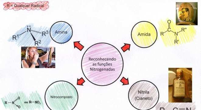 Funções Orgânicas, o que são? Definição, principais funções e estruturas