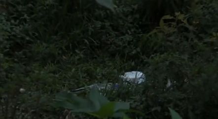 O corpo já estava em estado avançado de decomposição