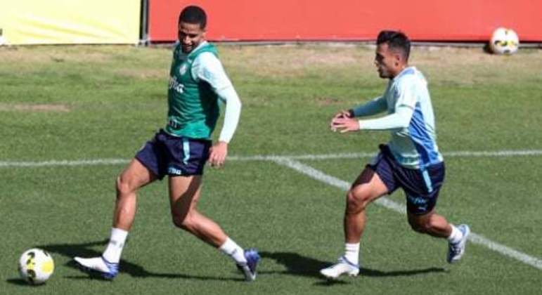 Gabriel Menino Murilo Palmeiras