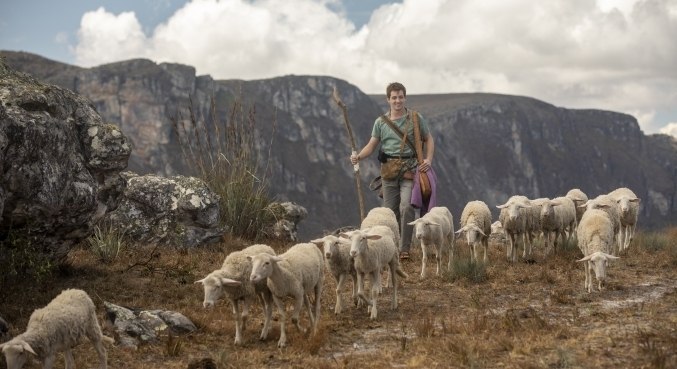 Davi (Gabriel Vivan) arriscava a própria vida para salvar o rebanho de ovelhas