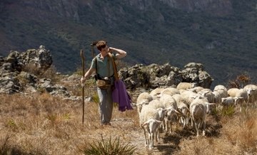É verdade que pastorear é a tarefa mais antiga? Leia! (Edu Moraes/Record TV)