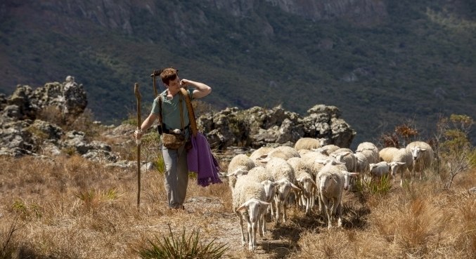 Davi (Gabriel Vivan) cuida do rebanho de ovelhas do pai na série Reis