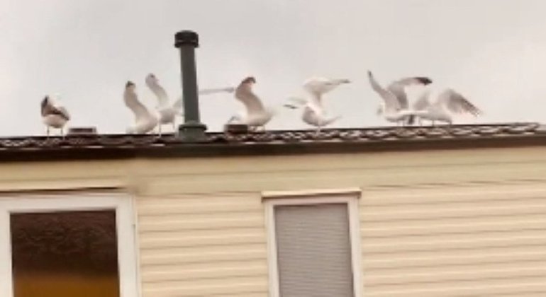A vingança é um prato que se come com pão