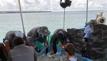 Ambientalistas recolhem 4,6 toneladas de lixo em Galápagos