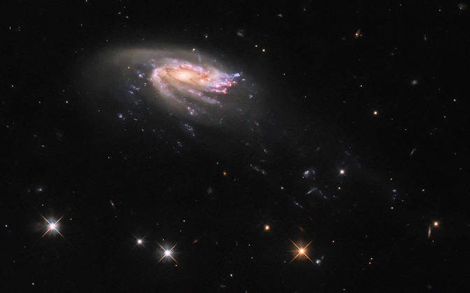 A galáxia medusa JO206 vista a patir do do Telescópio Espacial Hubble da NASA/ESA. Disco colorido é formado por estrelas cercadas por uma nuvem de poeira