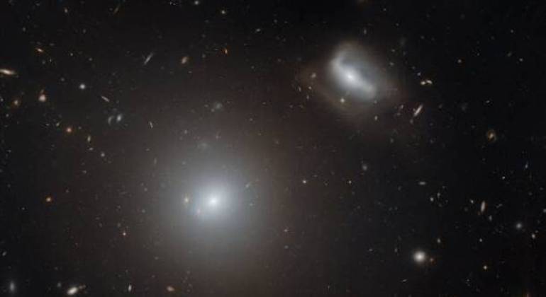 Em termos galácticos, as galáxias NGC 3558 e LEDA 83465 estão muito próximas uma da outra. Elas estão praticamente uma em cima da outra. Esse fenômeno só é possível porque elas pertencem a um aglomerado de galáxias lotado e caótico, chamado Abell 1185