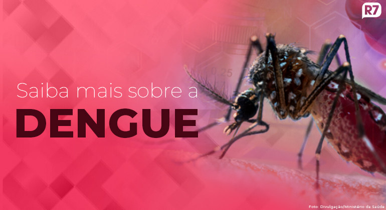 EUA fazem alerta sobre viagens ao Brasil devido a dengue e febre oropouche