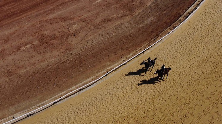 Corredores competem em uma corrida durante o festival do Cavalo Árabe realizado na renovada Cidade Equestre na cidade de Raqa, no norte da Síria, em 14 de outubro