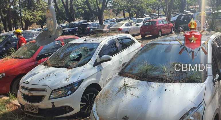 Árvore cai e atinge três carros no Parque da Cidade, em Brasília