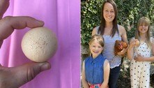 Galinha bota ovo redondo, e criadora o coloca à venda na web: 'Um em um bilhão'